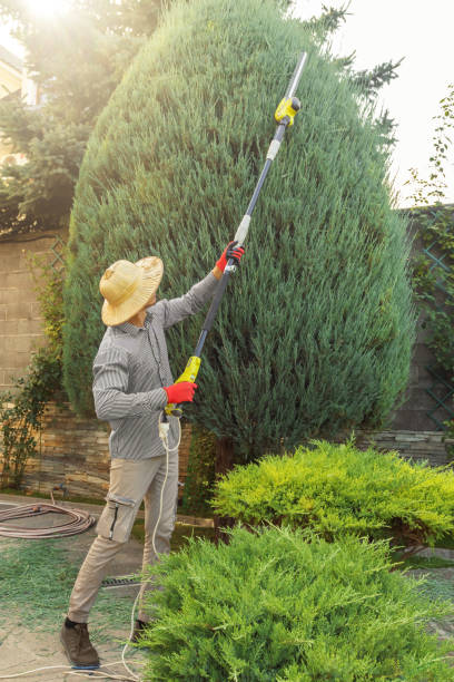 Best Soil Testing and Treatment  in Fairmount, NY